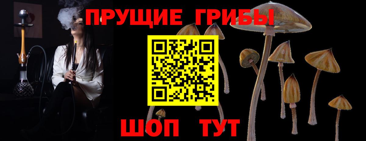 Сердобск  Галлюциногенные грибы Magic Shrooms  Псилоцибиновые грибы Magic Shrooms  Вход с VPN 